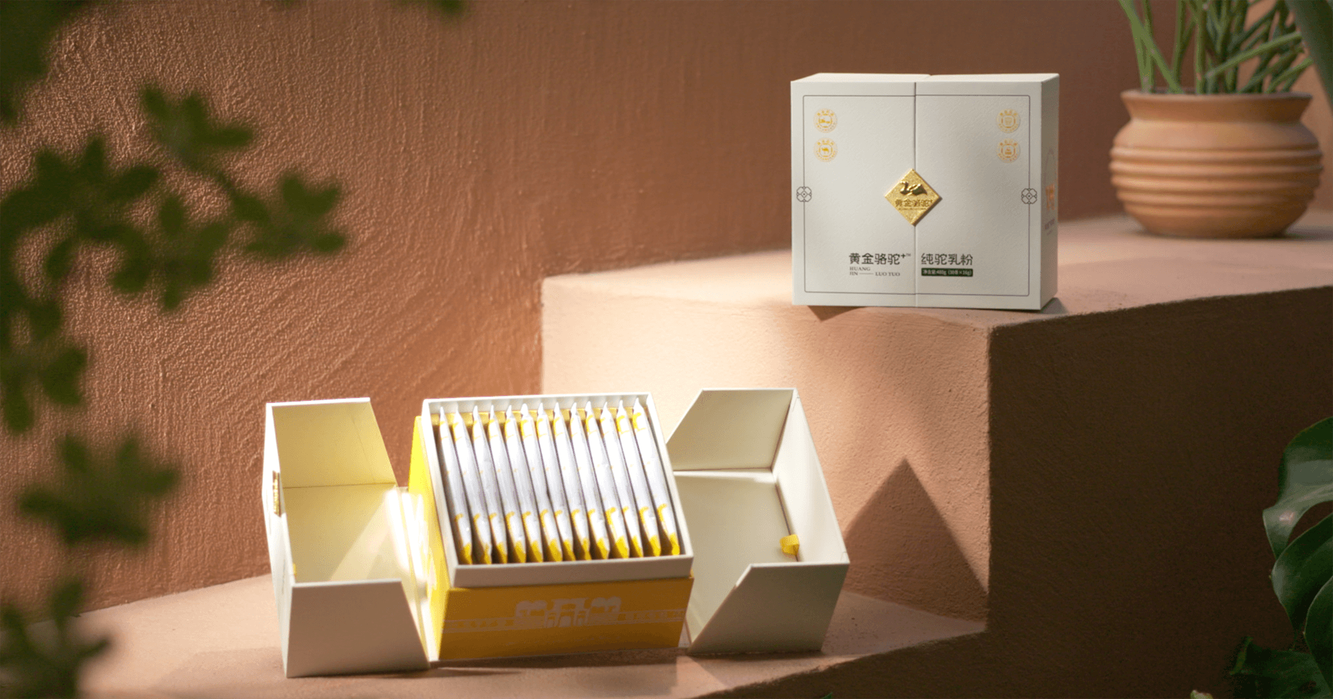 定位小众高端乳粉，AG贵宾会推出驼奶品牌“黄金骆驼+”，角逐乳品新市场！